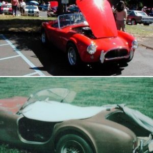 Cobra