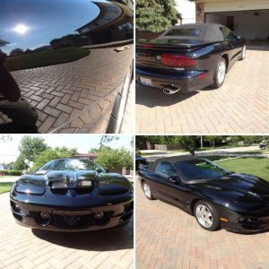 Trans am paint correction