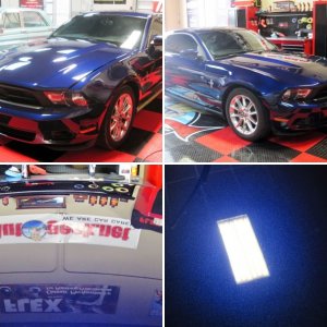 Mustang Detail