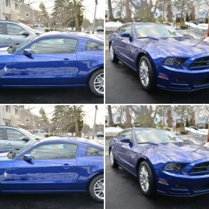 My Mustang