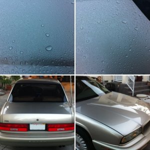 1996 Buick Regal DP Poli Coat