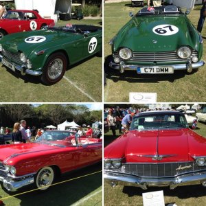 Boca Raton Concours d'Elegance 2015