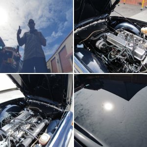 TR6
