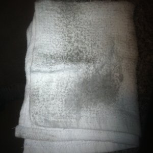 Wolfgang Exterior Trim Sealant