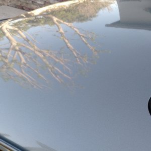 67_VW