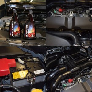 BF Engine Detailing