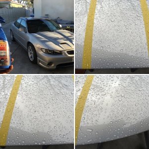 303 Speed Detailer