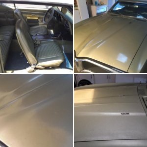 68 Firebird Single Stage Metallic Paint Restoration