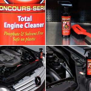 Wolfgang Total Engine Cleaner