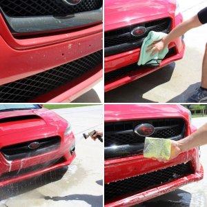 Wolfgang Bug Remover Spritz
