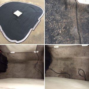 Mold Mitigation for Boats Parker Richards Mike Phillips