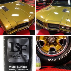 BLACKFIRE Multi-Surface Dressing Concentrate review by Mike Phillips