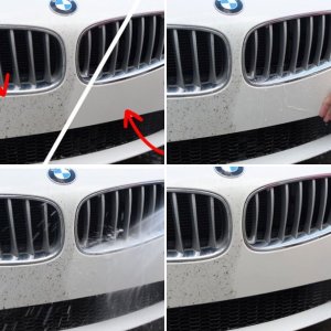 Bug Removal