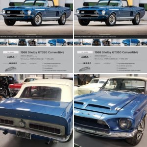 Bucket List Buff - 1968 Shelby Mustang GT350 - Original Paint by Mike Phillips