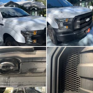 BLACKFIRE Bug BLOCKER Ford Truck