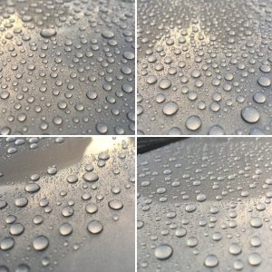 2020 Ceramic Coating Test First Wash_01182020