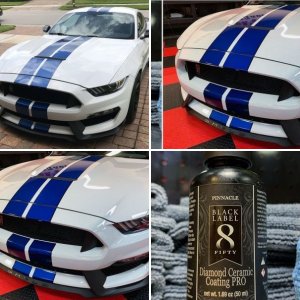 2017 Mustang GT350 detailed by Mike Phillips