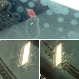 Mold Mildew Mitigation Mike Phillips Autogeek