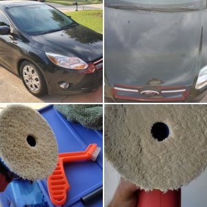 Shells Car