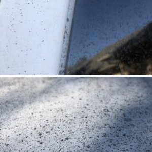 4Runner Sap
