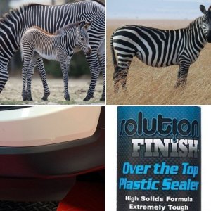 Zerbra Stripes Plastic Trim Solution Finish Mike Phillips