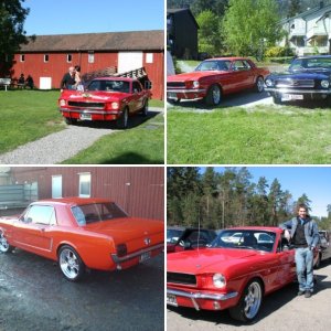 Bronco-Stang