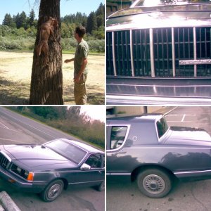merc_cougar
