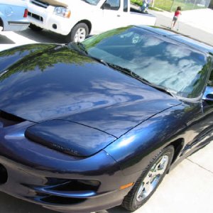Wolfgang TransAm
