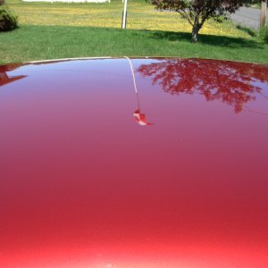 flag-reflection