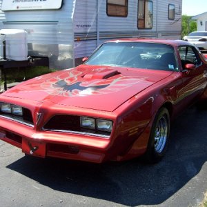 Nice Shine!
