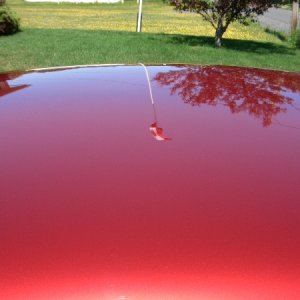 Flag Reflection