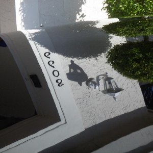 '93 Lexus After