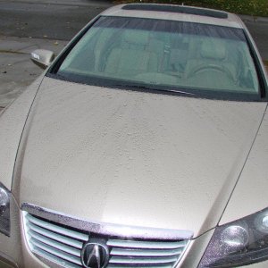 DSC00493_Large_
