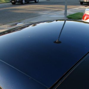 DSC00679_Medium_