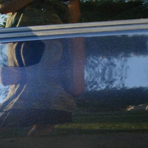 DSC00686_Medium_