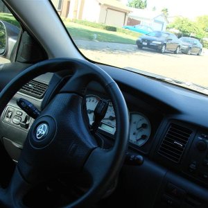 DSC00318_Medium_