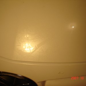 DSC01721