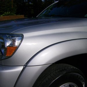 Tacoma flake on fender