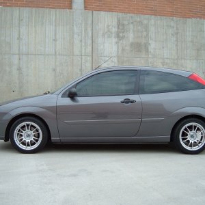 The daily whip