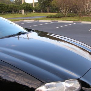 Z/28