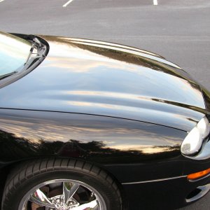 Z/28