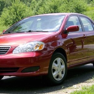 Corolla Zaino'd