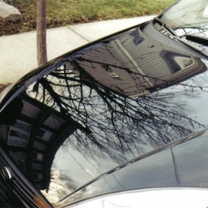 Focus Hood