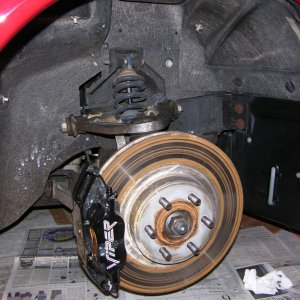 Viper Wheels and Wells Detail