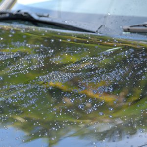 After_Wash