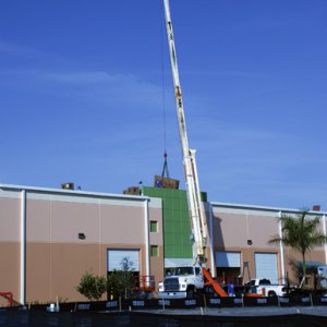 Crane
