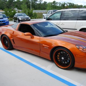 orangevette