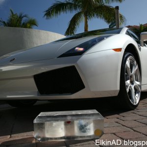 Gallardo_86_