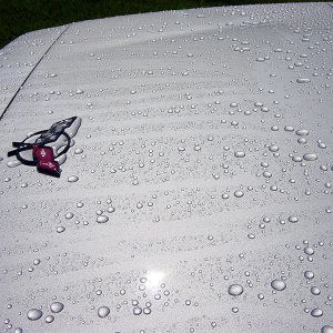 DSC02417