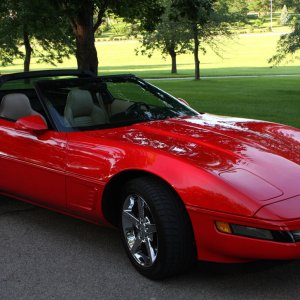 1995 Corvette, just detailed